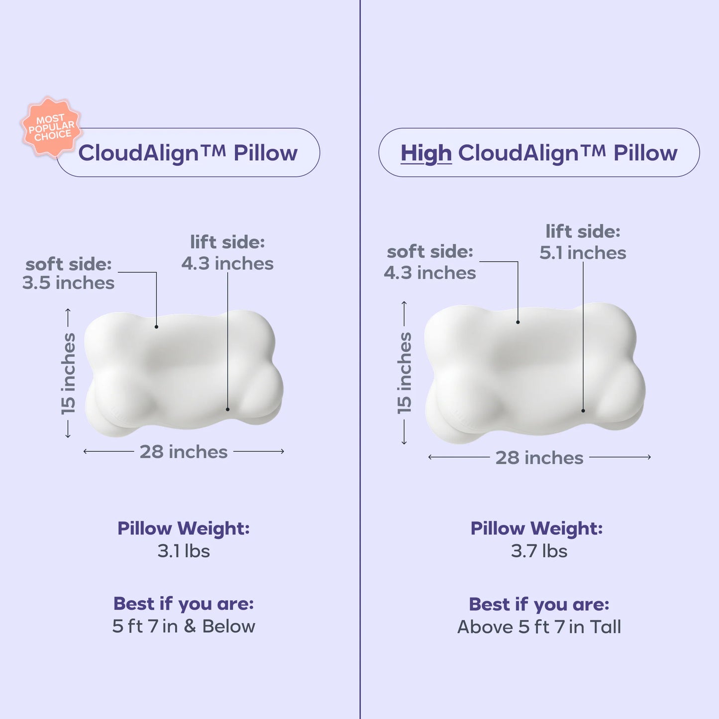 TrendAmia -  Cloud Align Pillow
